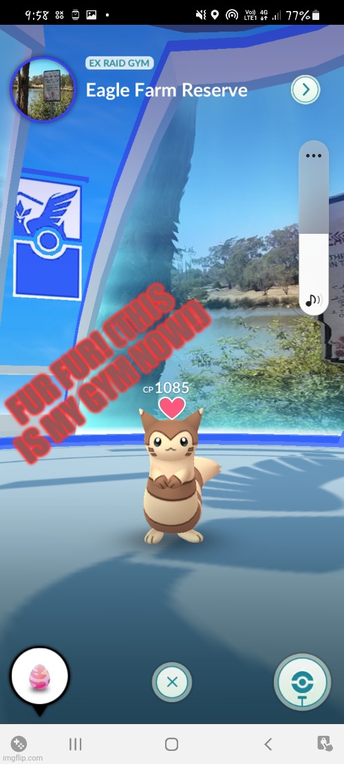 Furret takes over a gym! | FUR FUR! (THIS IS MY GYM NOW!) | image tagged in pokemon go,furret | made w/ Imgflip meme maker