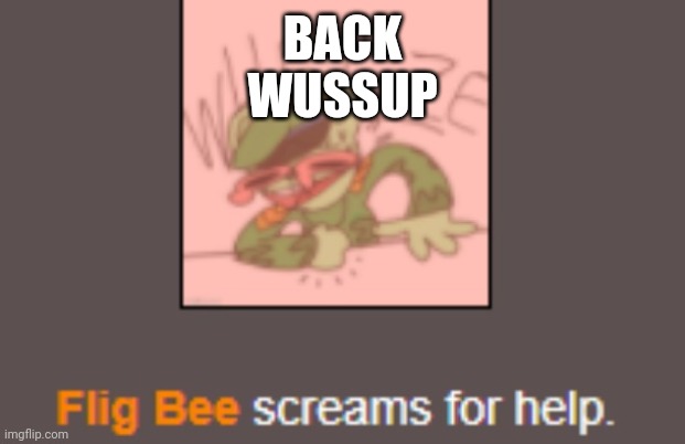 Flig Bee screams | BACK
WUSSUP | image tagged in flig bee screams | made w/ Imgflip meme maker