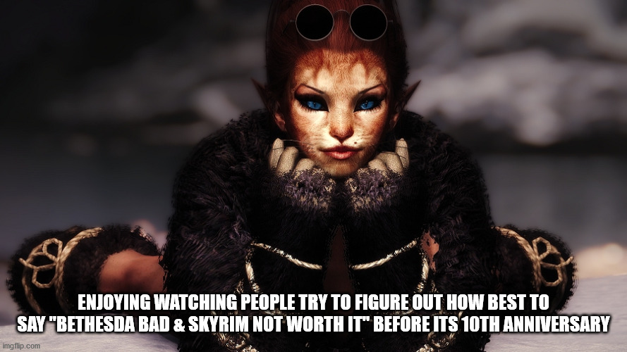 ENJOYING WATCHING PEOPLE TRY TO FIGURE OUT HOW BEST TO SAY "BETHESDA BAD & SKYRIM NOT WORTH IT" BEFORE ITS 10TH ANNIVERSARY | image tagged in skyrim,10th,anniversary,bethesda,todd,howard | made w/ Imgflip meme maker