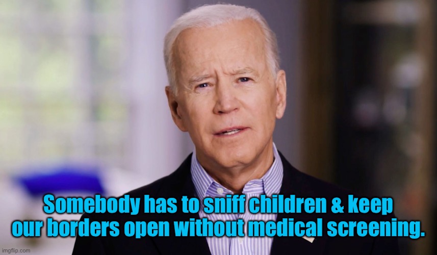 Joe Biden 2020 | Somebody has to sniff children & keep our borders open without medical screening. | image tagged in joe biden 2020 | made w/ Imgflip meme maker