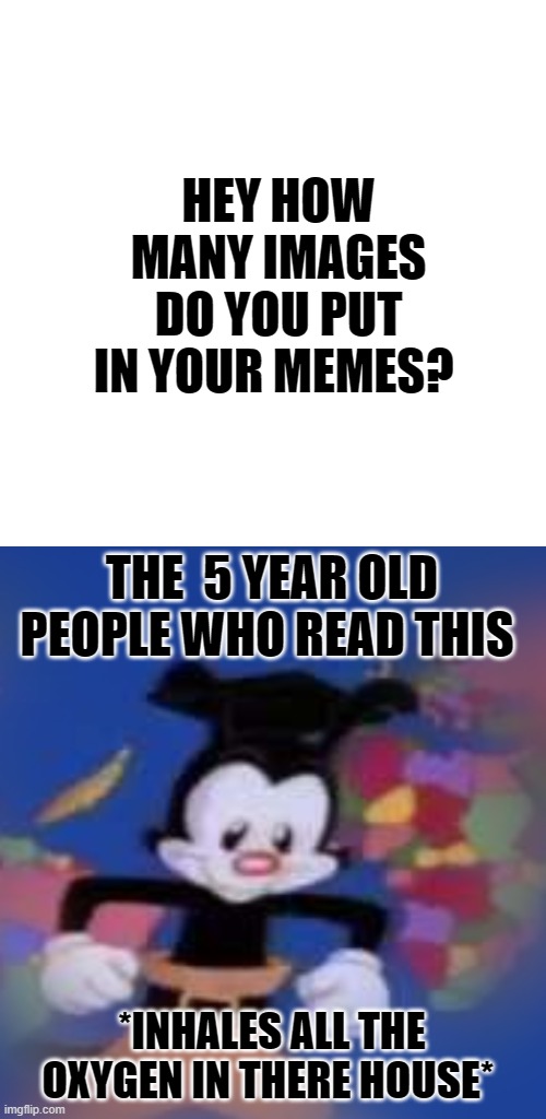 your not wrong | HEY HOW MANY IMAGES DO YOU PUT IN YOUR MEMES? THE  5 YEAR OLD PEOPLE WHO READ THIS; *INHALES ALL THE OXYGEN IN THERE HOUSE* | image tagged in yakko,so true meme,memes,funny memes,fun,funny | made w/ Imgflip meme maker
