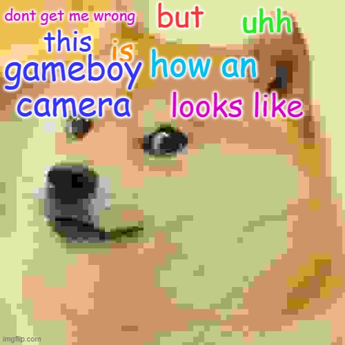 quality mishap | but; dont get me wrong; uhh; how an; this; is; gameboy camera; looks like | image tagged in memes,doge | made w/ Imgflip meme maker