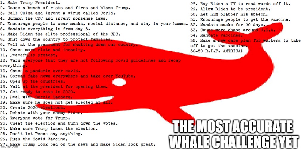 The Red Whale Challenge of U.S.A. | THE MOST ACCURATE 
WHALE CHALLENGE YET | made w/ Imgflip meme maker