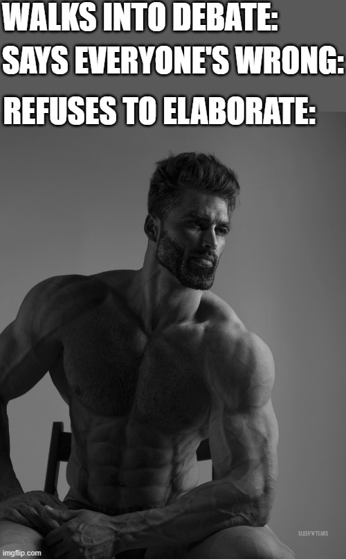 Giga Chad | WALKS INTO DEBATE:; SAYS EVERYONE'S WRONG:; REFUSES TO ELABORATE: | image tagged in giga chad | made w/ Imgflip meme maker