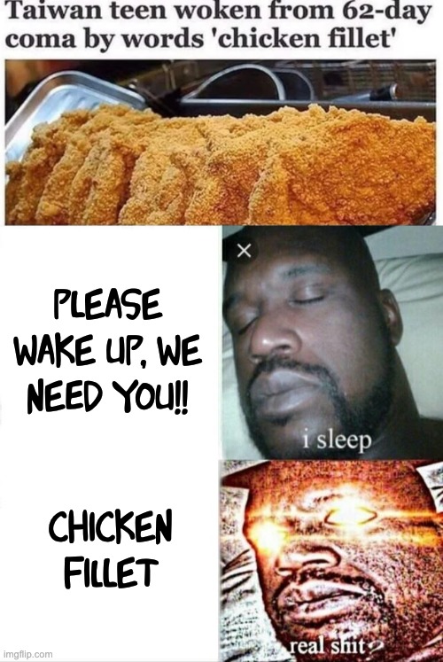 Did I hear..... C H I C K E N F I L L E T |  please wake up, we need you!! chicken fillet | image tagged in memes,sleeping shaq | made w/ Imgflip meme maker