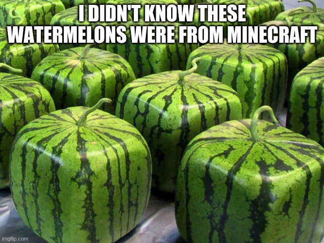 Minecraft Melons | I DIDN'T KNOW THESE WATERMELONS WERE FROM MINECRAFT | image tagged in minecraft melons | made w/ Imgflip meme maker