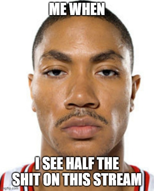 Derrick Rose Straight Face | ME WHEN; I SEE HALF THE SHIT ON THIS STREAM | image tagged in derrick rose straight face | made w/ Imgflip meme maker