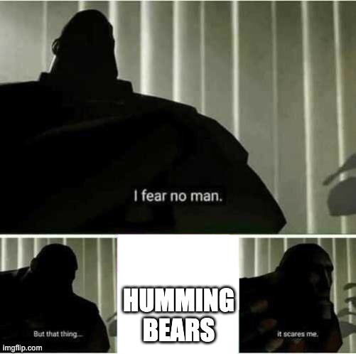 I fear no man | HUMMING BEARS | image tagged in i fear no man | made w/ Imgflip meme maker