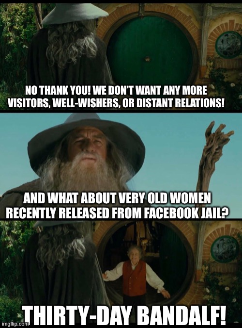 Thirty-Day Bandalf! |  NO THANK YOU! WE DON’T WANT ANY MORE VISITORS, WELL-WISHERS, OR DISTANT RELATIONS! AND WHAT ABOUT VERY OLD WOMEN RECENTLY RELEASED FROM FACEBOOK JAIL? THIRTY-DAY BANDALF! | image tagged in facebook jail,old memes | made w/ Imgflip meme maker