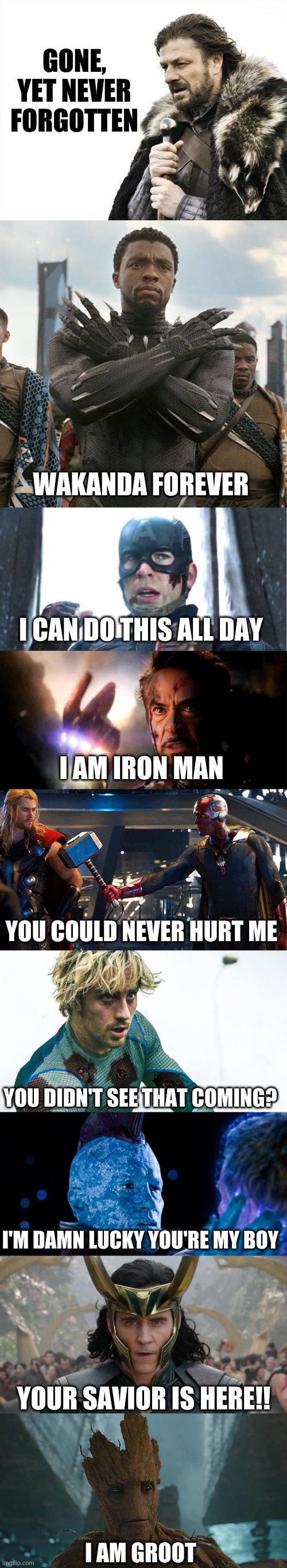 Quotes from our fallen heroes | GONE, YET NEVER FORGOTTEN; WAKANDA FOREVER; I CAN DO THIS ALL DAY; I AM IRON MAN; YOU COULD NEVER HURT ME; YOU DIDN'T SEE THAT COMING? I'M DAMN LUCKY YOU'RE MY BOY; YOUR SAVIOR IS HERE!! I AM GROOT | image tagged in memes,brace yourselves x is coming,wakanda forever,i am inevitable and i am iron man | made w/ Imgflip meme maker