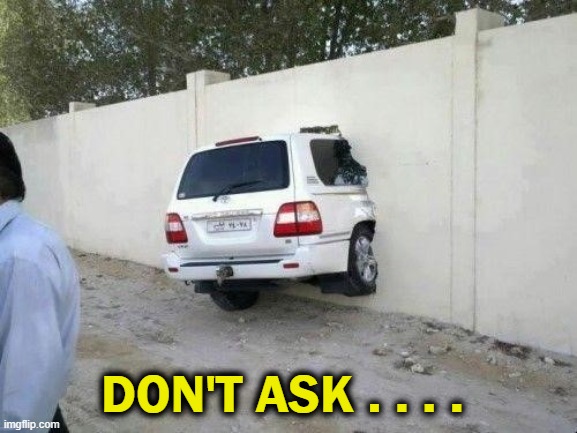 WTH? | DON'T ASK . . . . | image tagged in fun,your guess,lol | made w/ Imgflip meme maker