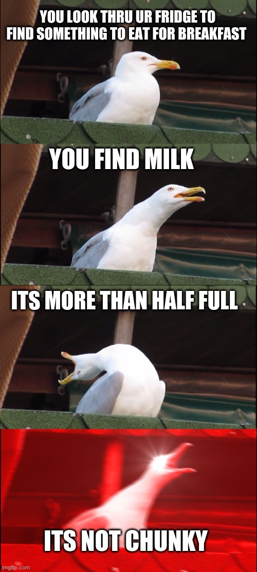 Inhaling Seagull Meme | YOU LOOK THRU UR FRIDGE TO FIND SOMETHING TO EAT FOR BREAKFAST; YOU FIND MILK; ITS MORE THAN HALF FULL; ITS NOT CHUNKY | image tagged in memes,inhaling seagull | made w/ Imgflip meme maker