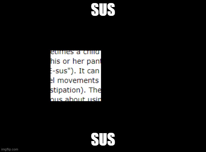 Taken from an article on encropesis | SUS; SUS | image tagged in blank black,sus,among us,articles,encropesis,why do tags even exist | made w/ Imgflip meme maker