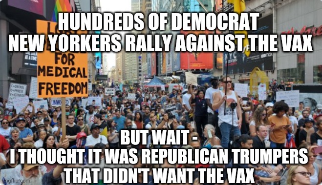 The Big Apple |  HUNDREDS OF DEMOCRAT 
NEW YORKERS RALLY AGAINST THE VAX; BUT WAIT -
I THOUGHT IT WAS REPUBLICAN TRUMPERS THAT DIDN'T WANT THE VAX | image tagged in biden,vaccine,covid19,liberals,democrats,antivax | made w/ Imgflip meme maker