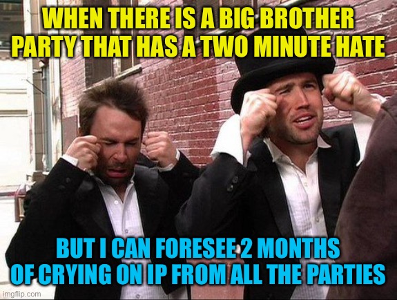 Aww did someone get addicted to crack | WHEN THERE IS A BIG BROTHER PARTY THAT HAS A TWO MINUTE HATE; BUT I CAN FORESEE 2 MONTHS OF CRYING ON IP FROM ALL THE PARTIES | image tagged in aww did someone get addicted to crack,poor ip | made w/ Imgflip meme maker