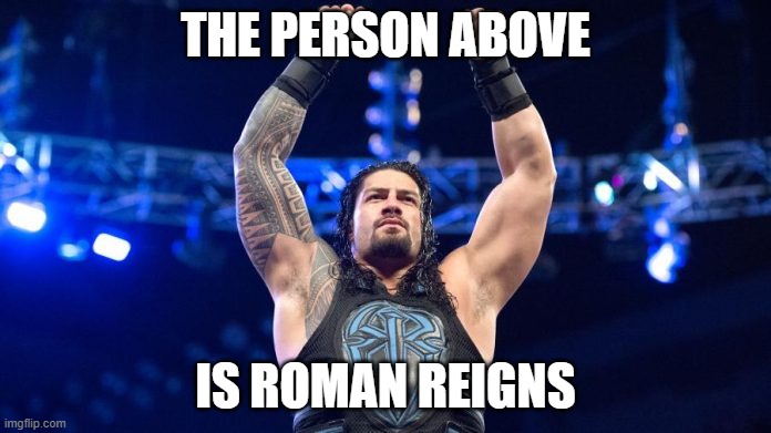 Roman Reings | THE PERSON ABOVE; IS ROMAN REIGNS | image tagged in roman reings | made w/ Imgflip meme maker