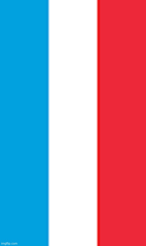 Wait, officer, this is the flag of France, not Luxembourg. | image tagged in not the flag of luxembourg | made w/ Imgflip meme maker