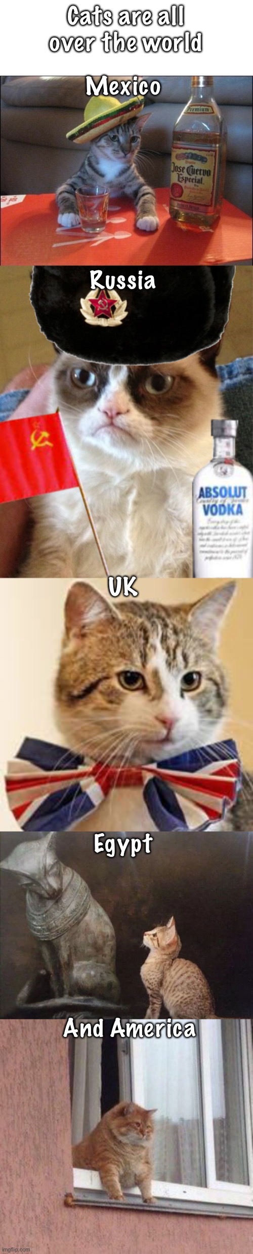 Cats of the Worlds | Cats are all over the world; Mexico; Russia; UK; Egypt; And America | image tagged in tequila cat,soviet grumpy cat,british cat,cat egypt,quarantine cat,memes | made w/ Imgflip meme maker