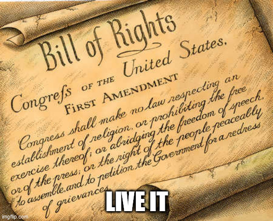 First Amendment | LIVE IT | image tagged in first amendment | made w/ Imgflip meme maker