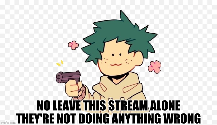 Deku with a gun | NO LEAVE THIS STREAM ALONE THEY'RE NOT DOING ANYTHING WRONG | image tagged in deku with a gun | made w/ Imgflip meme maker