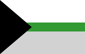 Demiromantic Flag :D Blank Meme Template