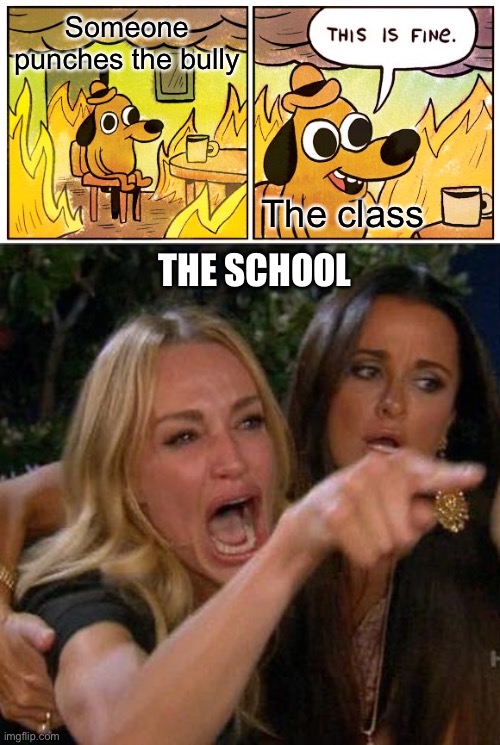 Someone punches the bully; The class; THE SCHOOL | image tagged in memes,this is fine,woman yelling at cat | made w/ Imgflip meme maker