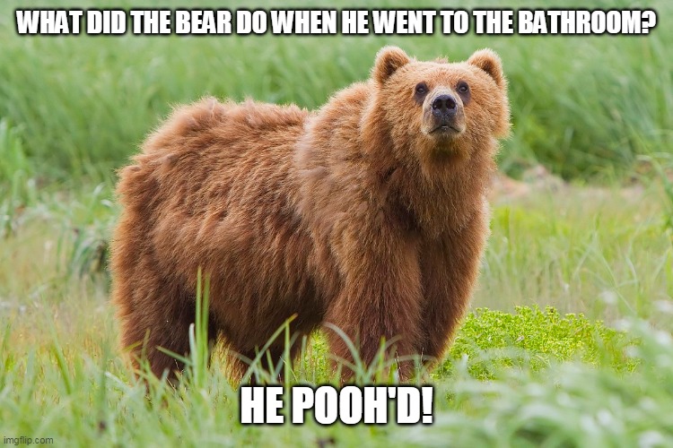 WHAT DID THE BEAR DO WHEN HE WENT TO THE BATHROOM? HE POOH'D! | image tagged in winnie the pooh,bear,bad pun,eyeroll,potty humor,bathroom | made w/ Imgflip meme maker