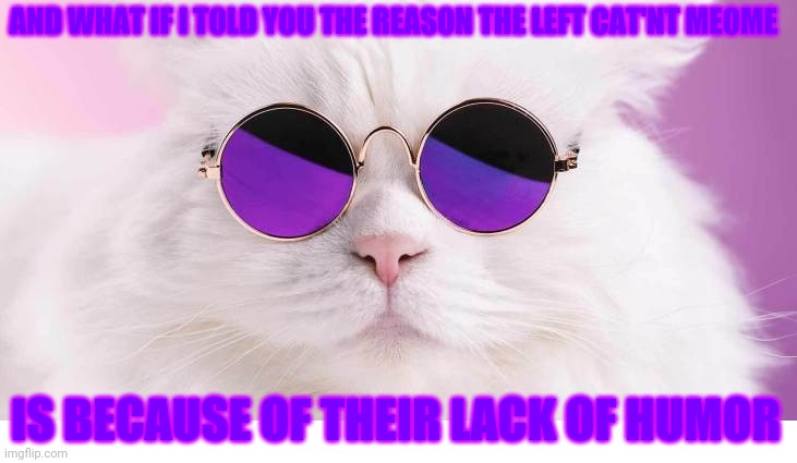 AND WHAT IF I TOLD YOU THE REASON THE LEFT CAT'NT MEOME IS BECAUSE OF THEIR LACK OF HUMOR | made w/ Imgflip meme maker