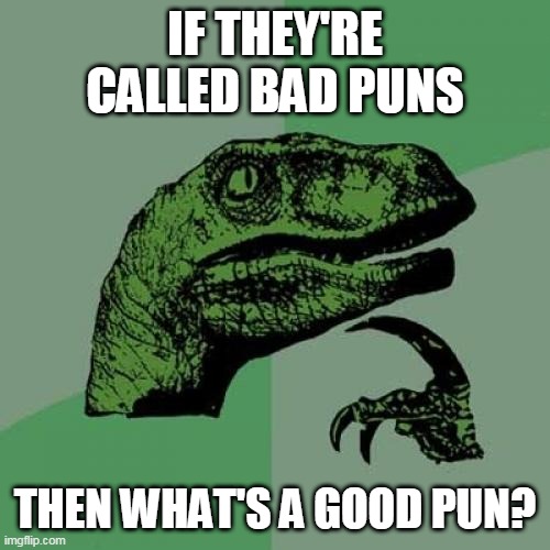 Philosoraptor | IF THEY'RE CALLED BAD PUNS; THEN WHAT'S A GOOD PUN? | image tagged in memes,philosoraptor,good,pun,question,dinosaur | made w/ Imgflip meme maker