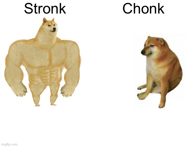 Buff Doge vs. Cheems | Stronk; Chonk | image tagged in memes,buff doge vs cheems | made w/ Imgflip meme maker