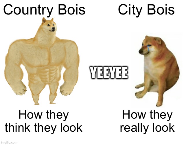 Buff Doge vs. Cheems | YEEYEE; Country Bois; City Bois; How they think they look; How they really look | image tagged in memes,buff doge vs cheems | made w/ Imgflip meme maker