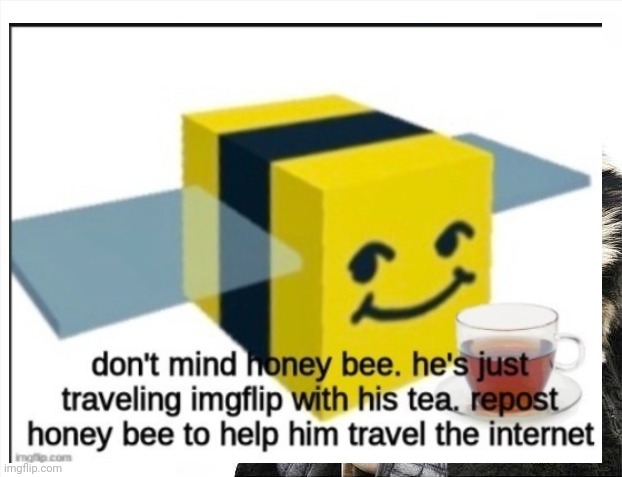 Repost pls | image tagged in bee | made w/ Imgflip meme maker