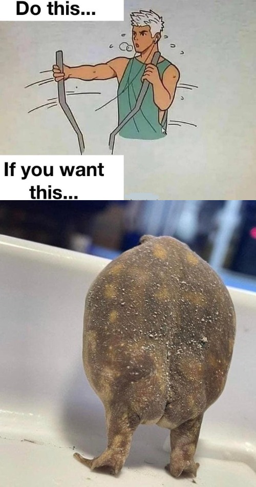 image tagged in she's a beaut mate | made w/ Imgflip meme maker