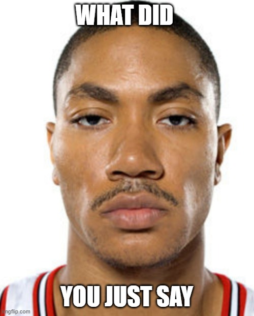 Derrick Rose Straight Face | WHAT DID YOU JUST SAY | image tagged in derrick rose straight face | made w/ Imgflip meme maker