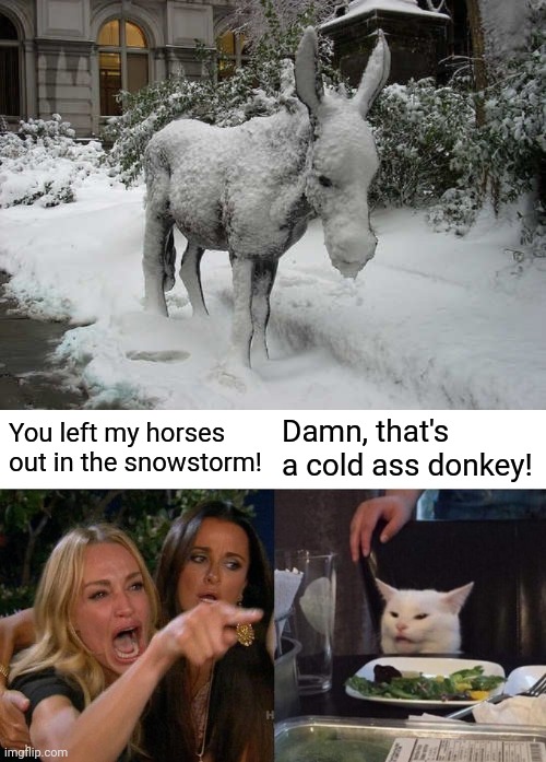  You left my horses out in the snowstorm! Damn, that's a cold ass donkey! | image tagged in memes,woman yelling at cat | made w/ Imgflip meme maker