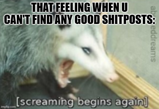 Screaming begins again | THAT FEELING WHEN U CAN'T FIND ANY GOOD SHITPOSTS: | image tagged in screaming begins again | made w/ Imgflip meme maker