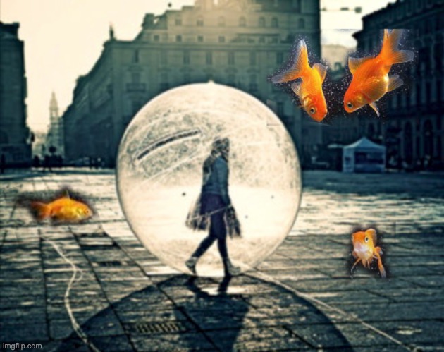 No reason | image tagged in fishbowl,bubble,fish,dada | made w/ Imgflip meme maker