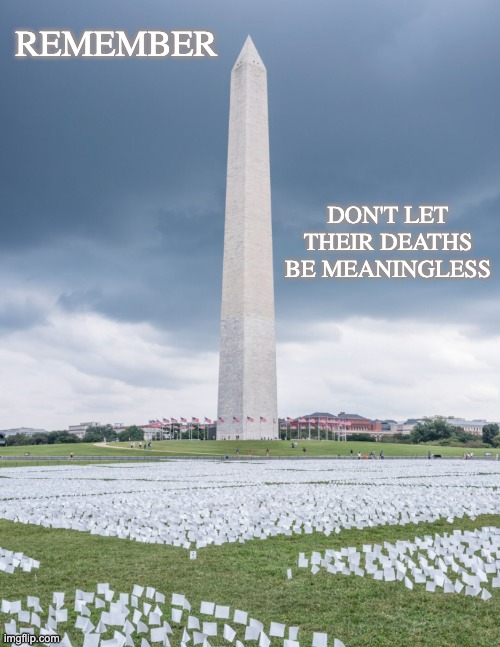 Covid dead memorial on the National Mall | REMEMBER; DON'T LET THEIR DEATHS BE MEANINGLESS | image tagged in covid-19,death,remember,washington dc | made w/ Imgflip meme maker