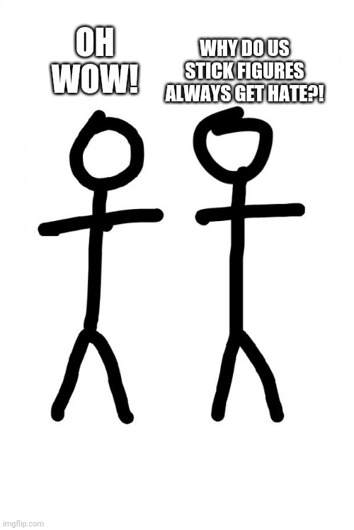 Stick Figure | OH WOW! WHY DO US STICK FIGURES ALWAYS GET HATE?! | image tagged in stick figure | made w/ Imgflip meme maker