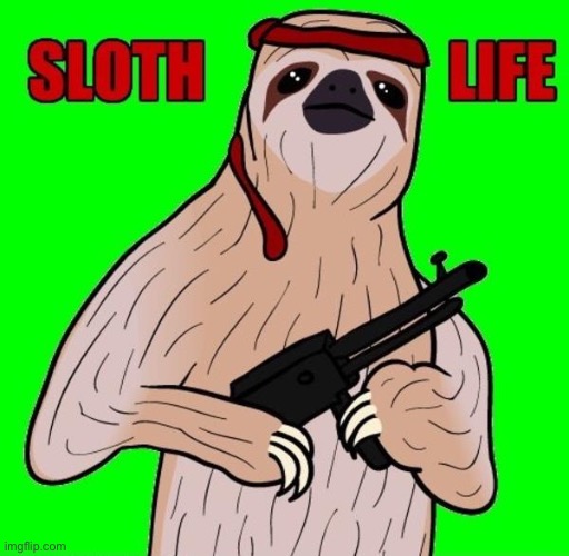 Sloth life | image tagged in sloth life | made w/ Imgflip meme maker