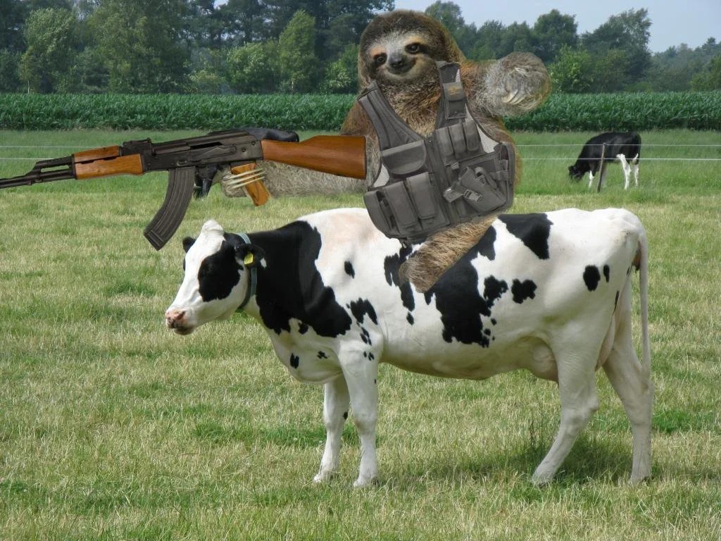High Quality Sloth sniper cow Blank Meme Template