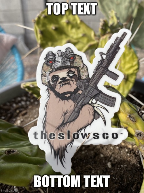 Sloth the slowsco | TOP TEXT; BOTTOM TEXT | image tagged in sloth the slowsco | made w/ Imgflip meme maker