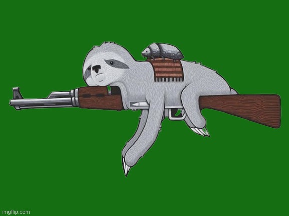 Sloth rifle transparent | image tagged in sloth rifle transparent | made w/ Imgflip meme maker