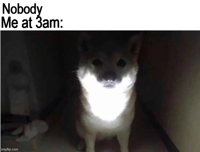 First post :D |  Nobody; Me at 3am: | image tagged in shibe at 3am,memes,funny,bad luck brian,funny memes,pie charts | made w/ Imgflip meme maker