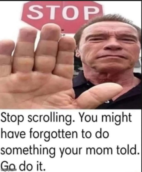 Do it otherwise your mum will be angry at you. . . And that is something we both don't want | image tagged in arnold schwarzenegger,stop sign,memes,funny,im gonna stop you right there,repost | made w/ Imgflip meme maker