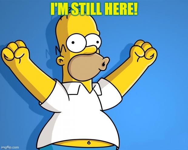 Woohoo Homer Simpson | I'M STILL HERE! | image tagged in woohoo homer simpson | made w/ Imgflip meme maker