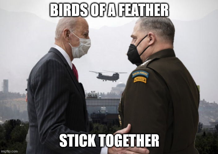 Joe Biden and General Milley | BIRDS OF A FEATHER STICK TOGETHER | image tagged in joe biden and general milley | made w/ Imgflip meme maker