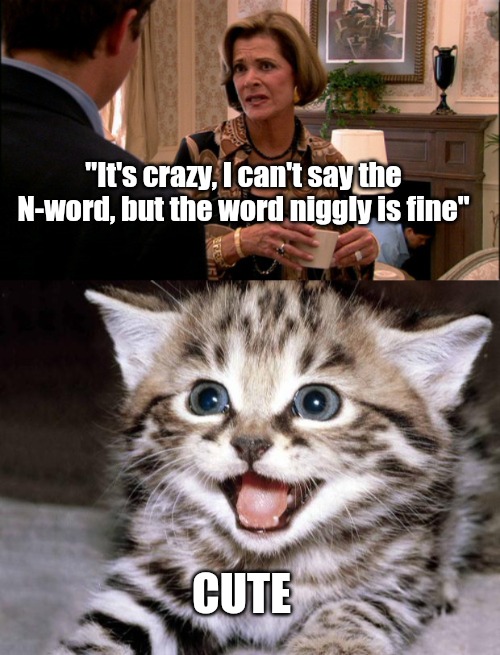 "It's crazy, I can't say the N-word, but the word niggly is fine"; CUTE | image tagged in arrested development how much would a banana cost,uber cute cat,n word | made w/ Imgflip meme maker
