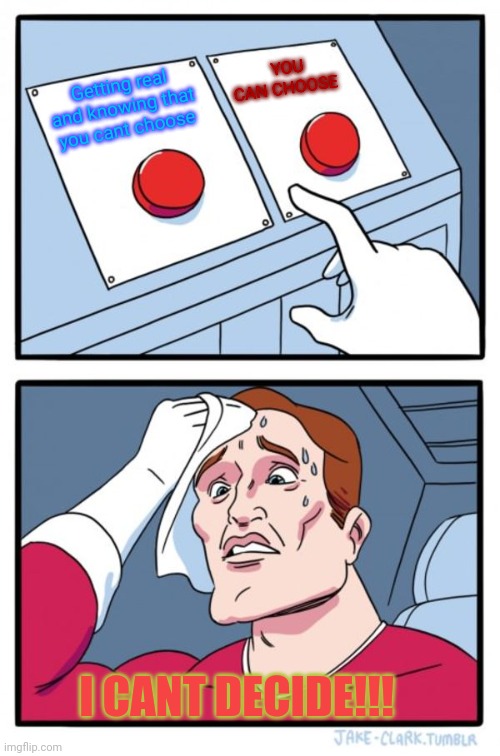 Two Buttons | YOU CAN CHOOSE; Getting real and knowing that you cant choose; I CANT DECIDE!!! | image tagged in memes,two buttons | made w/ Imgflip meme maker