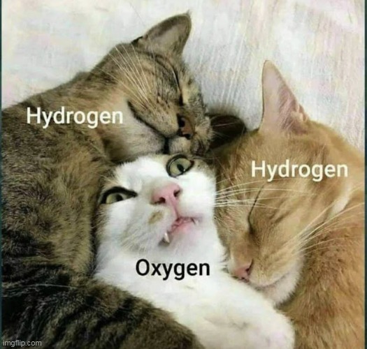Water | image tagged in memes,cats,cat,water,science | made w/ Imgflip meme maker